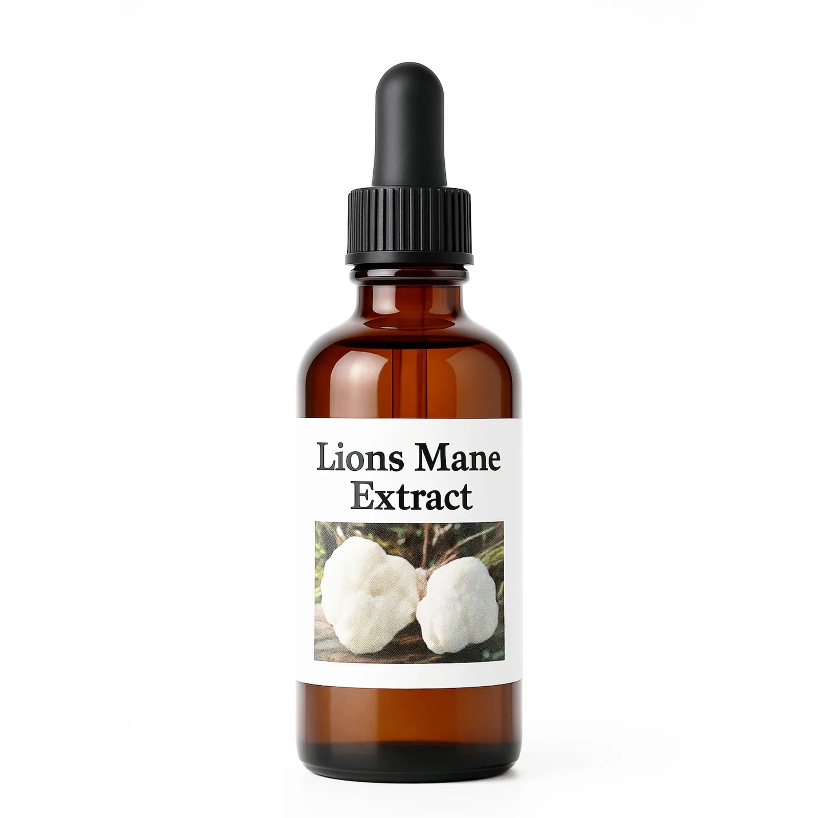 Lion’s Mane Tincture